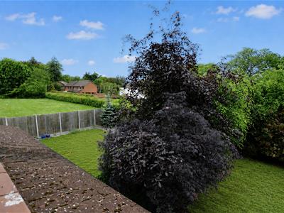 Picture 28
